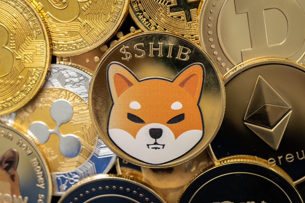 Shiba Inu coin: il meme token SHIB