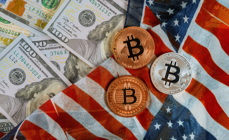 Elezioni USA, Impatto su Dollaro e Bitcoin